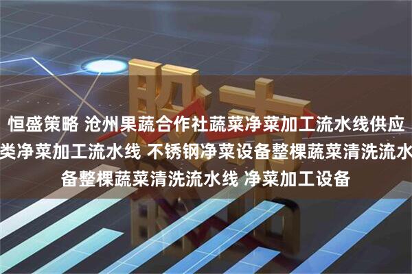 恒盛策略 沧州果蔬合作社蔬菜净菜加工流水线供应 预制菜生产叶菜类净菜加工流水线 不锈钢净菜设备整棵蔬菜清洗流水线 净菜加工设备