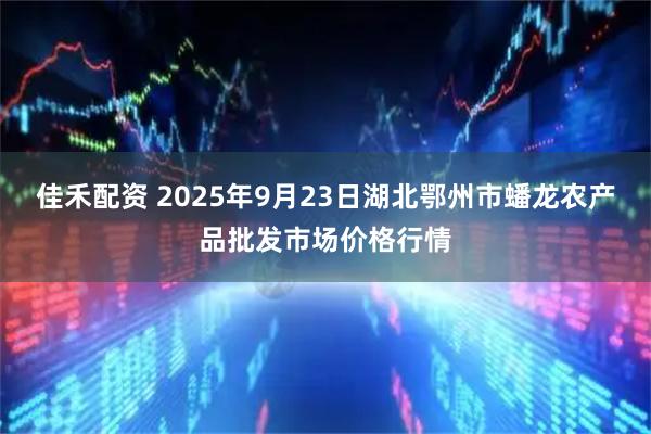 佳禾配资 2025年9月23日湖北鄂州市蟠龙农产品批发市场价格行情