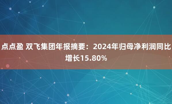 点点盈 双飞集团年报摘要：2024年归母净利润同比增长15.80%