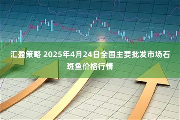 汇盈策略 2025年4月24日全国主要批发市场石斑鱼价格行情