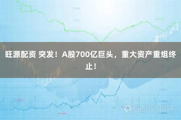 旺源配资 突发！A股700亿巨头，重大资产重组终止！