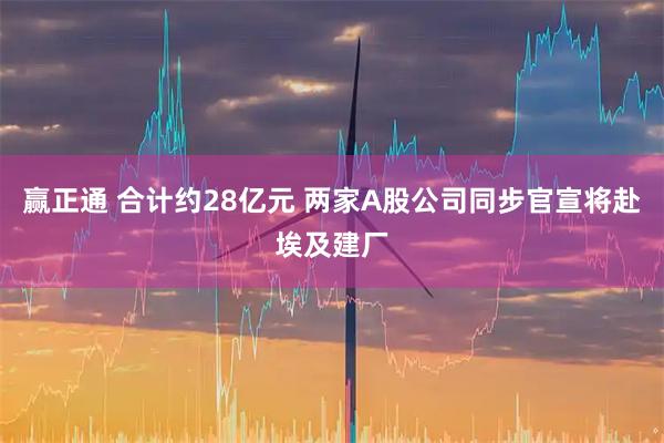 赢正通 合计约28亿元 两家A股公司同步官宣将赴埃及建厂